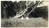 Karin Lundquist Connelly and Allegra Maynard, circa 1913