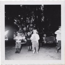 Children and automobile at a picnic, 1956