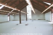 Interior Library without Books, with Roof, 1966