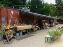 Mill Valley Lumber Yard Train Car Shops, 2019