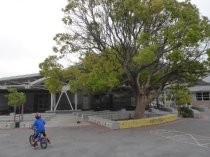 Edna Maguire School Buddy Bench, 2018