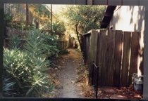 Pathway- Sycamore to Miller, date unknown