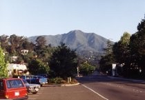 Looking down Miller Avenue at Mt. Tamalpais, 1994