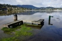 Multiuse Pathway rest stop inundated by king tide, 2017