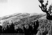 Homestead Valley Open Space circa 1970