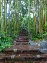 Madrona Steps, 2017