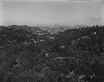 View from Mill Valley heights towards Tiburon and Angel Island, circa 1950