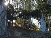 Fernwood Cemetery Buddha and steps towards the beyond, 2019