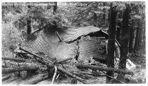 "The Storm" : The Collapsed Page Dwelling, 1925 (Photograph Only)