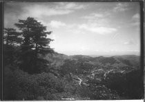 Looking down on Mill Valley, circa 1950