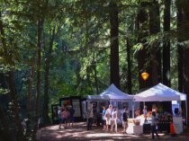 Fall Arts Festival display booths, 2015