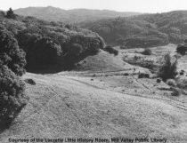 Little Reed Ranch in Tiburon, date unknown