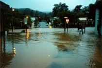 2005 Mill Valley flood at Park Terrace bridge accross from creek, 12/30/2005