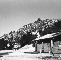 Snow on Mt. Tamalpais, 1973