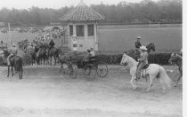 Horse show or horse race in outdoor arena, unknown