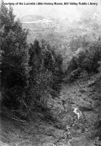 "The Storm" : A Wide Gap - Trees, Vegetation and Earth Torn Up, 1925 (Photograph Only)