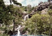 Mt. Tamalpais, Little Carson Falls, 1978