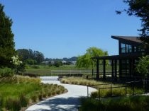 Redwoods Retirement Community walkway, 2019