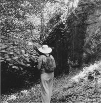 Site of Welch Cabin in Steep Ravine as it appeared in 1976