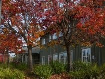 Mill Valley Community Center landscaping, 2016