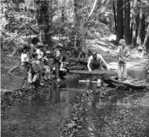 Library Boat Race on Old Mill Creek, 1973