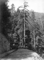 Gravity Car on the way to Muir Woods, date unknown