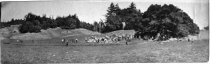 Second meeting of the Tamalpais Conservation Club at Rock Spring, 1913