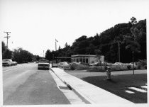 Ashford Ave. looking toward E. Blithedale Ave. circa 1980