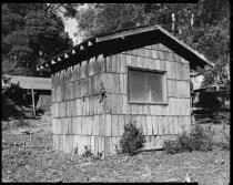 The wood/gardening shed at 19 Ralston Avenue, 2013