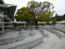 Edna Maguire School bench seating, 2018