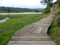 Pickleweed Inlet pedestrian path, 2016