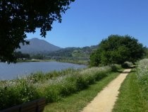 Pickleweed Inlet pathway, 2019