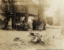 Tree house and barbeque in Stolte Grove, 1925