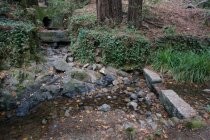 Blithedale Canyon old waterworks, 2019