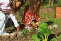 Edna Maguire School 5th grade buddies planting in Children's Garden, 2007