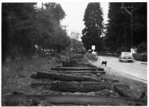 Removing train tracks on Miller Avenue, circa 1955