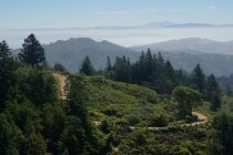 Old Railroad Grade Trail, 2016