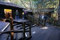 Muir Woods visitor center steps and deck, 2019