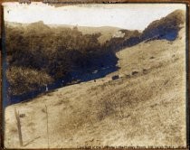 Fred Stolte bachelor quarters site, circa 1905