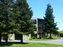 Redwoods Retirement Community residence, 2019