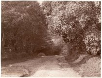 Intersection of Throckmorton and East Blithedale Avenues, pre-1900