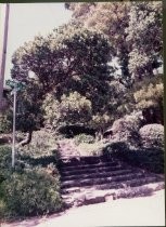 Intersection of Lovell and Cornelia Avenues, circa 1984