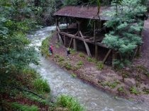 Old Mill Park and surging Old Mill Creek, 2017