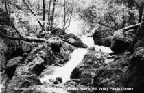 Mt. Tamalpais, Cataract Falls, 1977-78