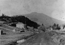 Miller Avenue looking towards Mount Tamalpais, circa 1903