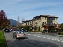 Miller Avenue (number 515) mixed use building, 2016