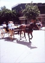 Horse drawn buggy in 4th of July parade, 1992