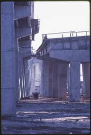 Bridge Girders from Ground Level at Barrio Logan