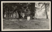 Auto camp, Ukiah, California