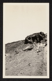 Wind erosion on basalt. Death Valley, California